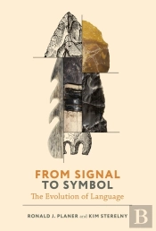 From Signal To Symbol