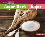 From Sugar Beet To Sugar