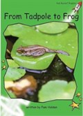 From Tadpole To Frog