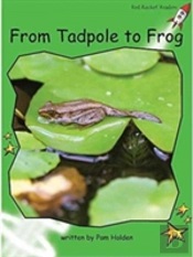 From Tadpole To Frog