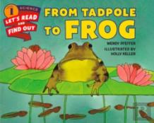 From Tadpole To Frog