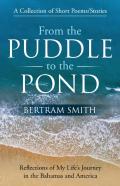From The Puddle To The Pond