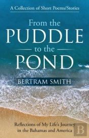 From The Puddle To The Pond