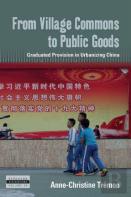 From Village Commons To Public Goods