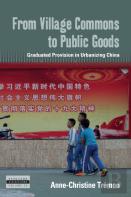 From Village Commons To Public Goods