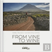 From Vine to Wine