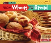 From Wheat To Bread