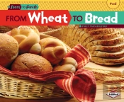 From Wheat To Bread