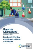 Frontiers In Physical Chemistry For Lignin Valorisation