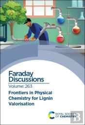 Frontiers In Physical Chemistry For Lignin Valorisation