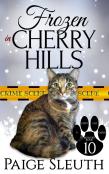 Frozen In Cherry Hills