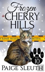Frozen In Cherry Hills