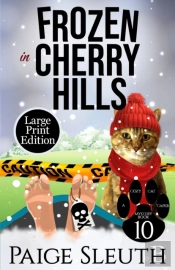 Frozen In Cherry Hills