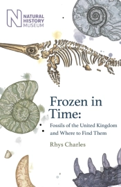 Frozen In Time