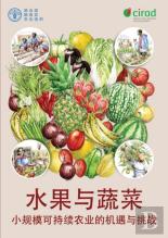Fruit And Vegetables (Chinese Edition)