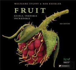 Bertrand.pt - Fruit