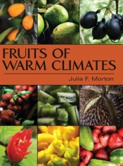 Fruits Of Warm Climates