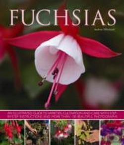 Bertrand.pt - Fuchsias