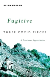 Fugitive