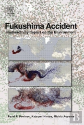 Fukushima Accident