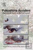 Fukushima Accident