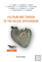 Fulcrum And Torsion Of The Helical Myocardium