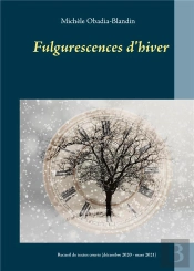 Fulgurescences D Hiver - Recueil De Textes Courts Decem