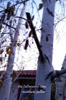 Fullness Of Time