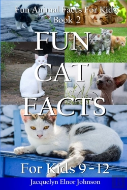 Bertrand.pt - Fun Cat Facts For Kids 9-12