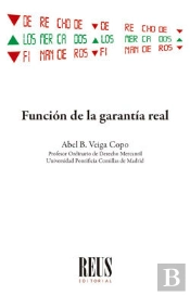 Funcion De La Garantia Real
