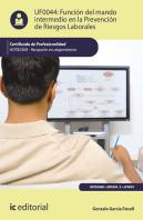 Funcion Del Mando Intermedio En La Prevencion De Riesgos Lab