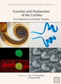 Bertrand.pt - Function And Dysfunction Of The Cochlea