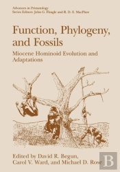 Function, Phylogeny, And Fossils