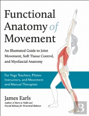 Functional Anatomy Of Movement