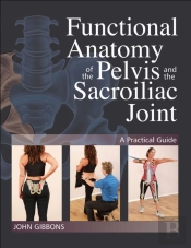 Functional Anatomy Of The Pelvis And The Sacroiliac Joint