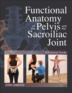 Bertrand.pt - Functional Anatomy Of The Pelvis And The Sacroiliac Joint