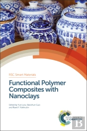 Functional Polymer Composites With Nanoclays