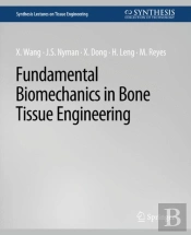 Fundamental Biomechanics In Bone Tissue Engineering
