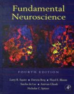 Bertrand.pt - Fundamental Neuroscience