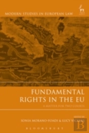 Fundamental Rights In The Eu