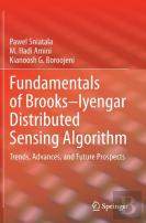 Fundamentals Of Brooksâ€“Iyengar Distributed Sensing Algorithm