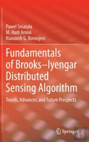 Fundamentals Of Brooksâ€“Iyengar Distributed Sensing Algorithm