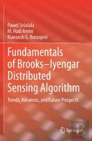Fundamentals Of Brooksâ€“Iyengar Distributed Sensing Algorithm