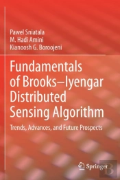 Fundamentals Of Brooksâ€“Iyengar Distributed Sensing Algorithm