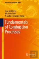 Fundamentals Of Combustion Processes