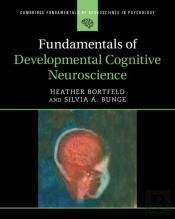 Fundamentals Of Developmental Cognitive Neuroscience