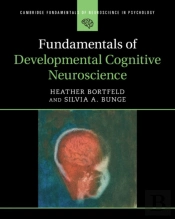Fundamentals Of Developmental Cognitive Neuroscience