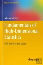 Fundamentals Of High-Dimensional Statistics