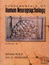 Fundamentals of Human Neuropsychology
