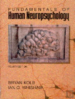 Bertrand.pt - Fundamentals of Human Neuropsychology